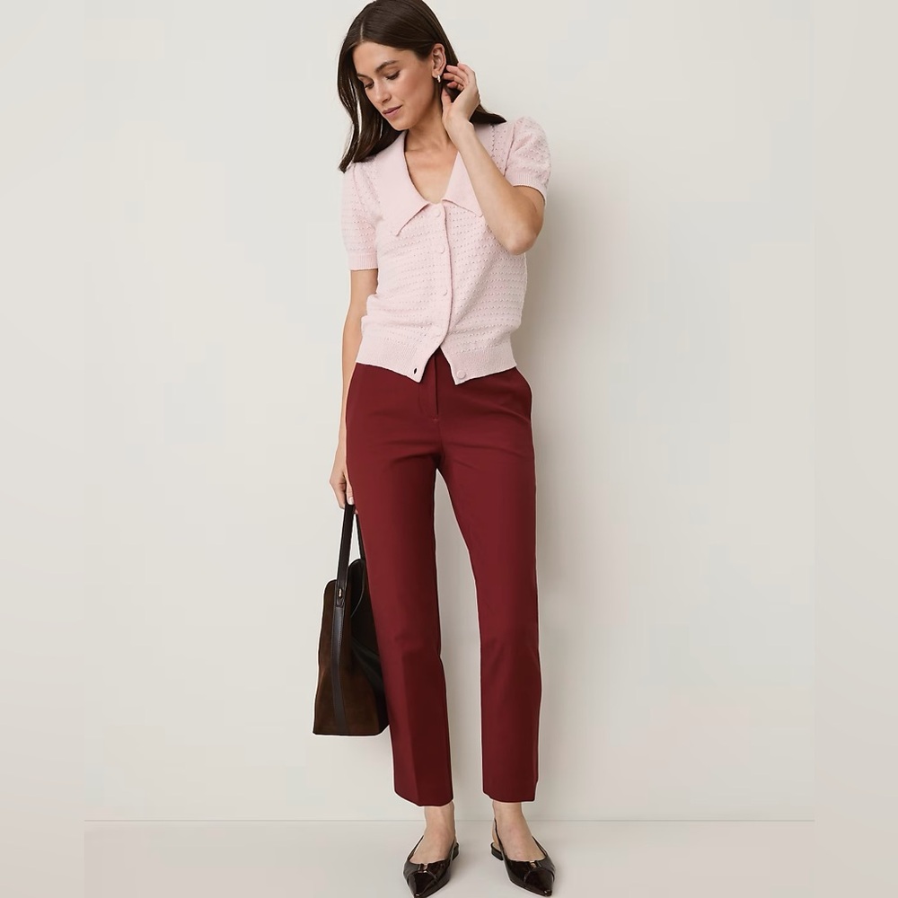 Ankle Pants in Brick Red by Ann Taylor